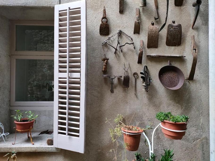Apartament Volca Aiguanegra Sant Joan les Fonts Kültér fotó