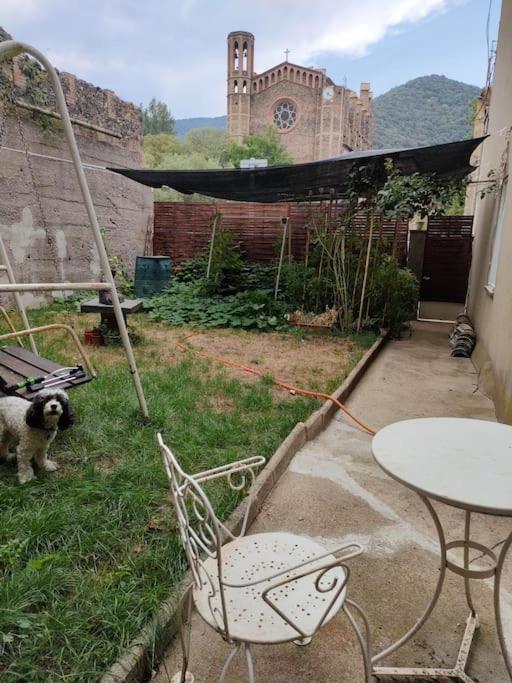 Apartament Volca Aiguanegra Sant Joan les Fonts Kültér fotó