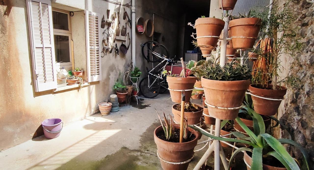 Apartament Volca Aiguanegra Sant Joan les Fonts Kültér fotó